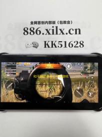 和平精英是最公平的游戏	！没有作弊的余地，维护玩家公平